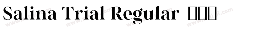 Salina Trial Regular字体转换
